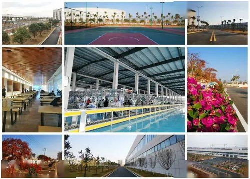 智能化果园式工厂 斯沃德教育科技诚邀技术开发精英共筑未来